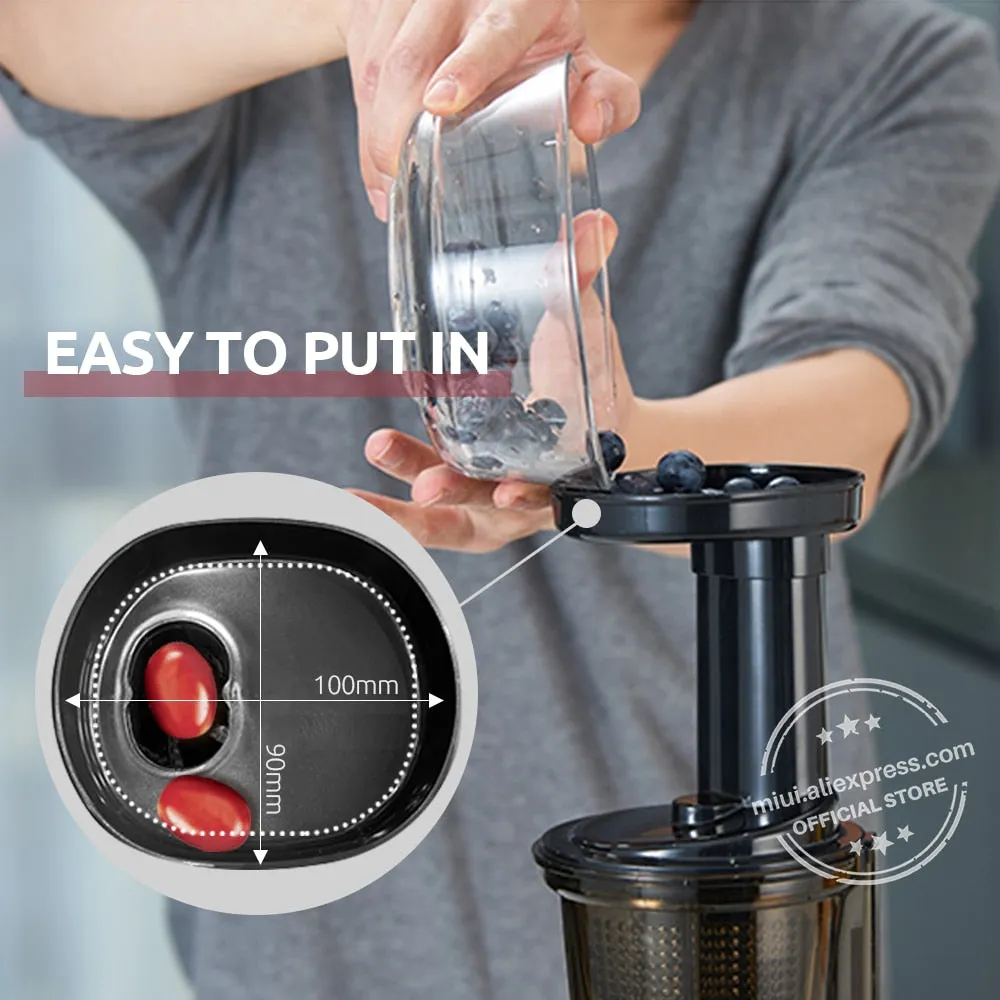 Electric Juicer