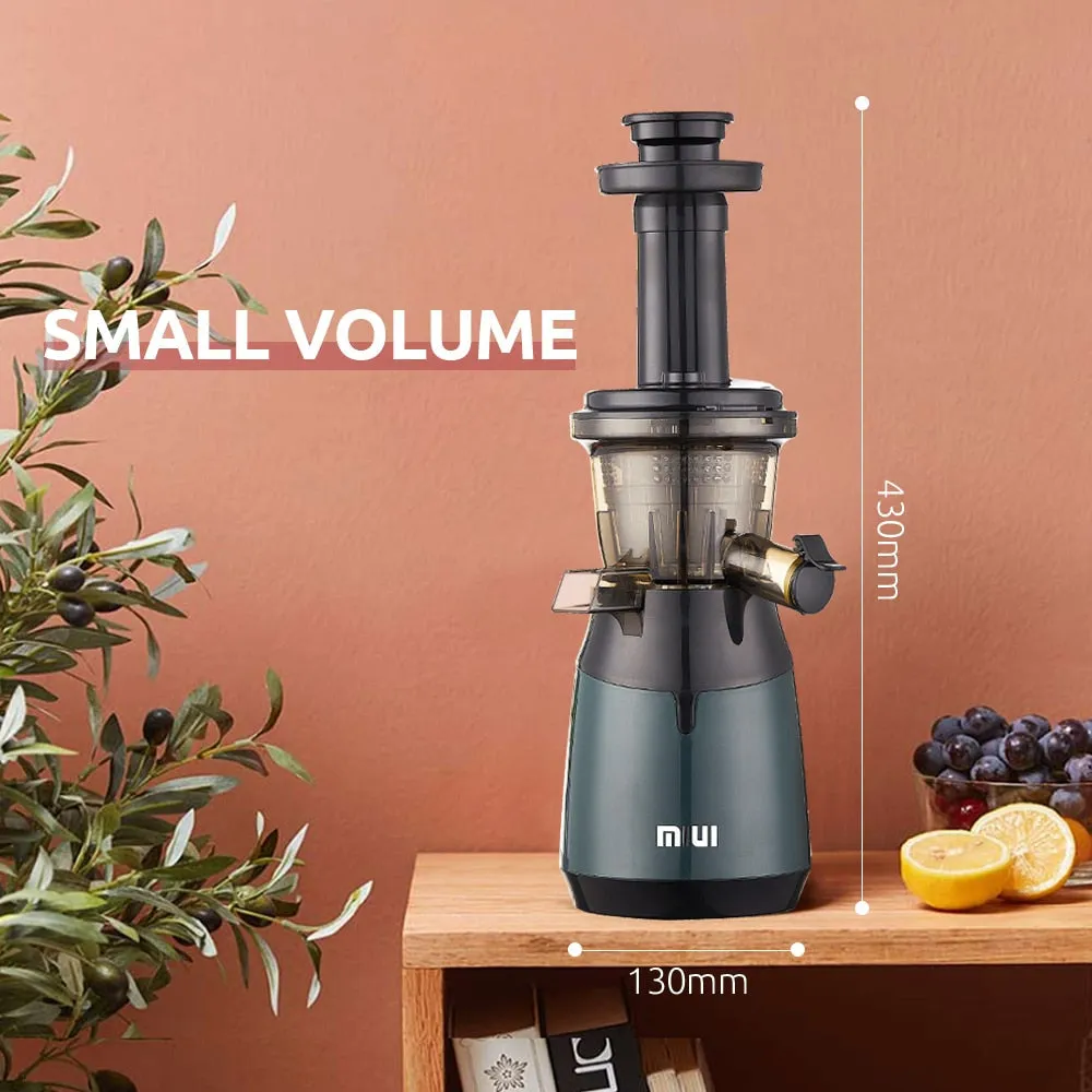 Electric Juicer