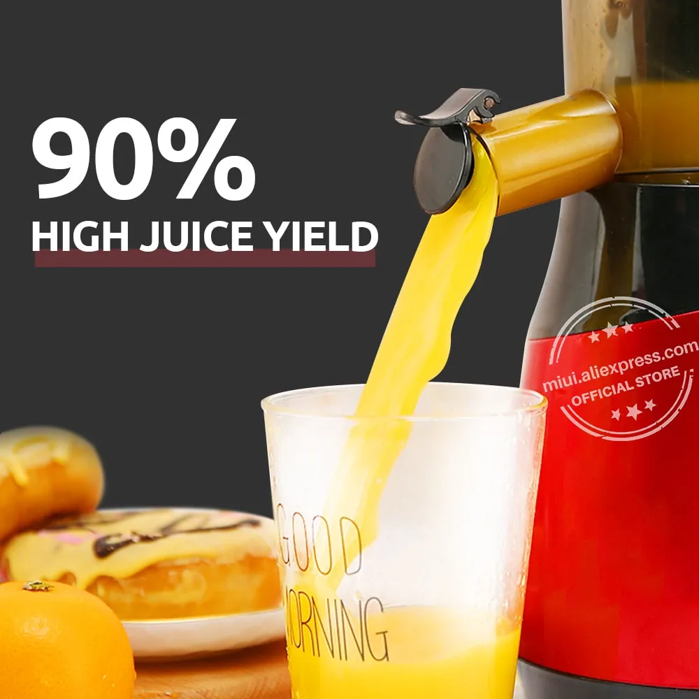 Electric Juicer