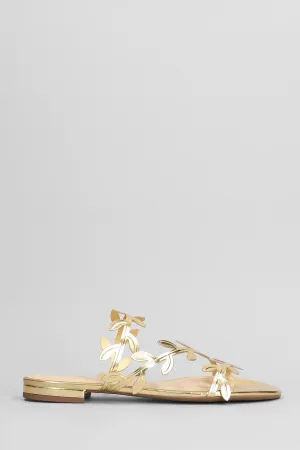 Flats in gold leather