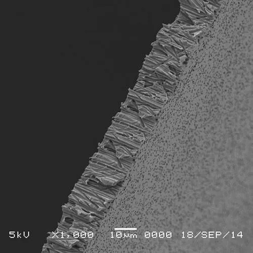 GVS 1215622 Poretics™, Filtration Membrane Polycarbonate Track Etched Hydrophilic 25mm 0.8 µm
