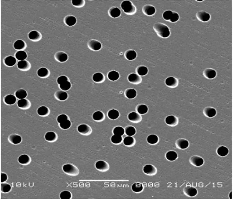 GVS 1221389 Poretics™, Filtration Membrane Polyester Track Etched 142mm 0.4 µm