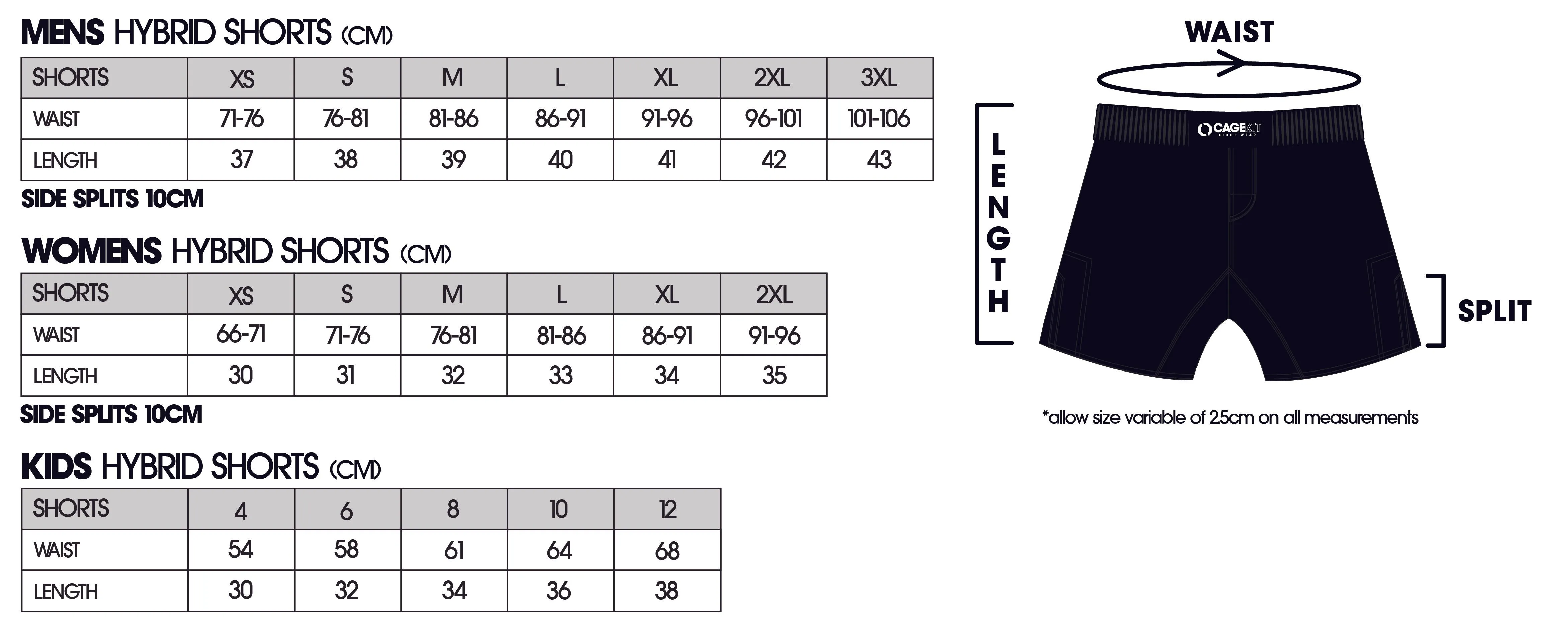 IGNITE Hybrid MMA Shorts (2024)