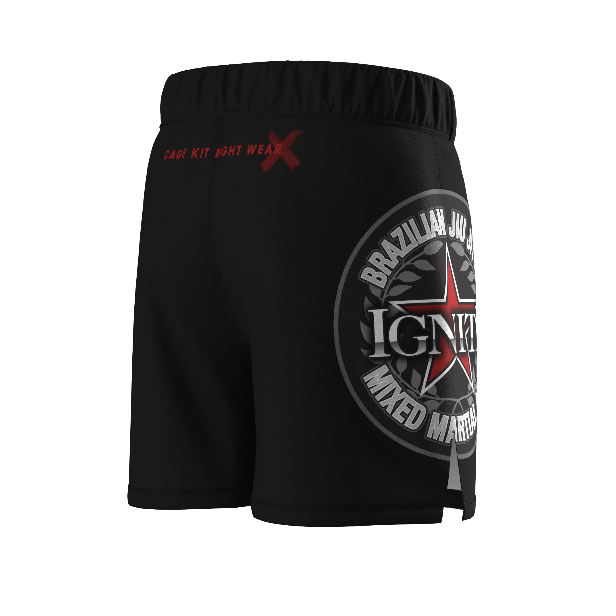 IGNITE Hybrid MMA Shorts (2024)