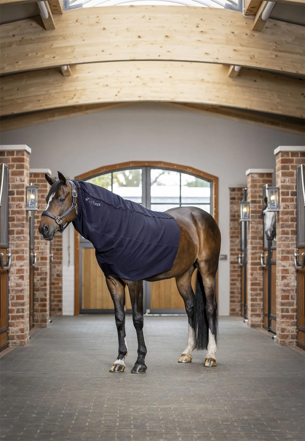 LeMieux Arika Fleece Hood