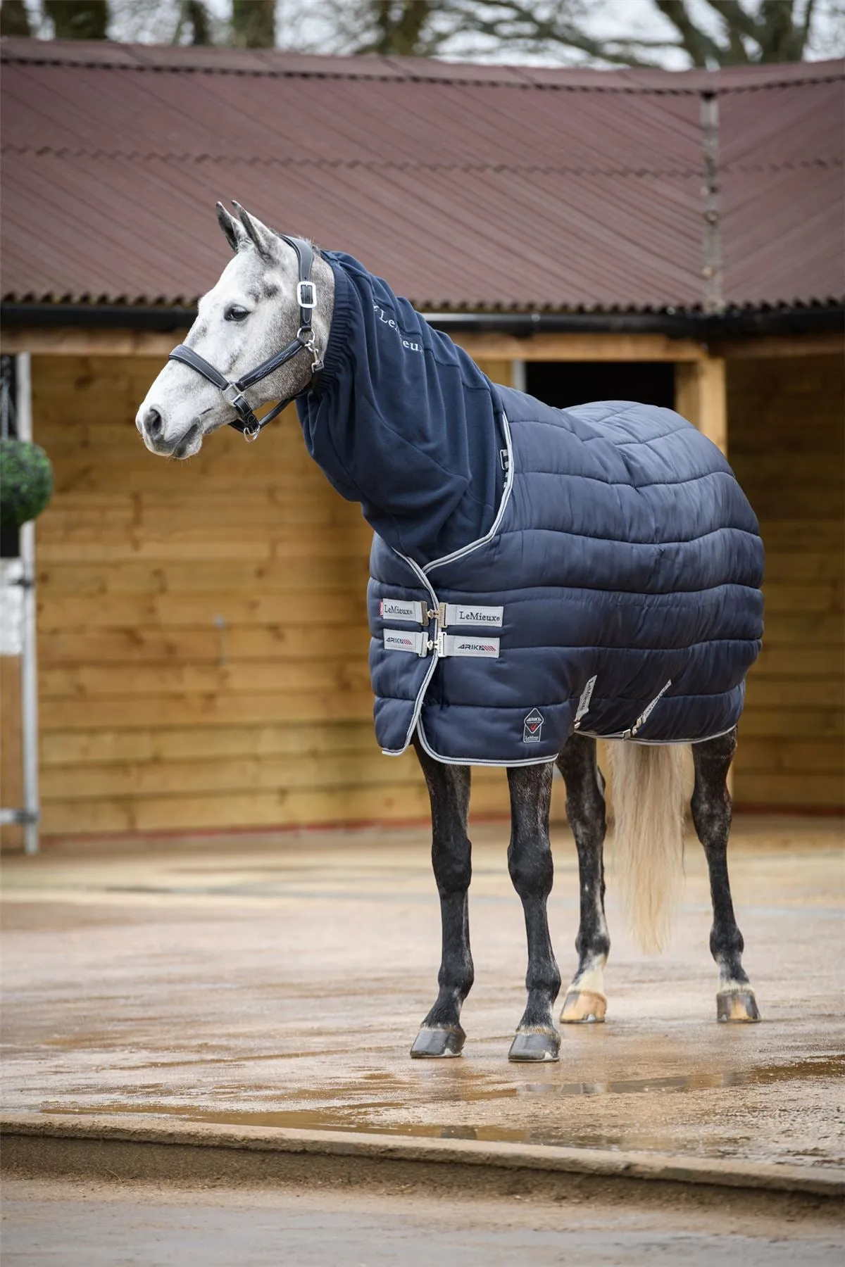 LeMieux Arika Fleece Hood