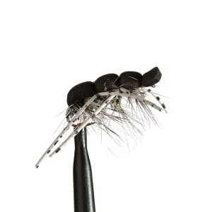 Lindsey Foam Spider