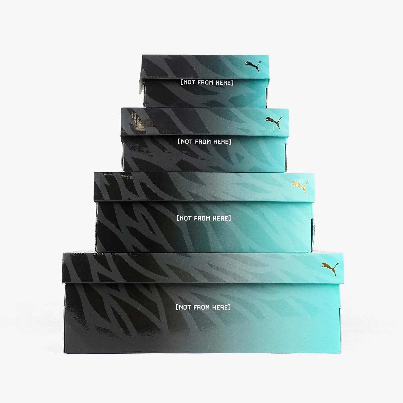 MB.02 - 'Buzz City Honeycomb'