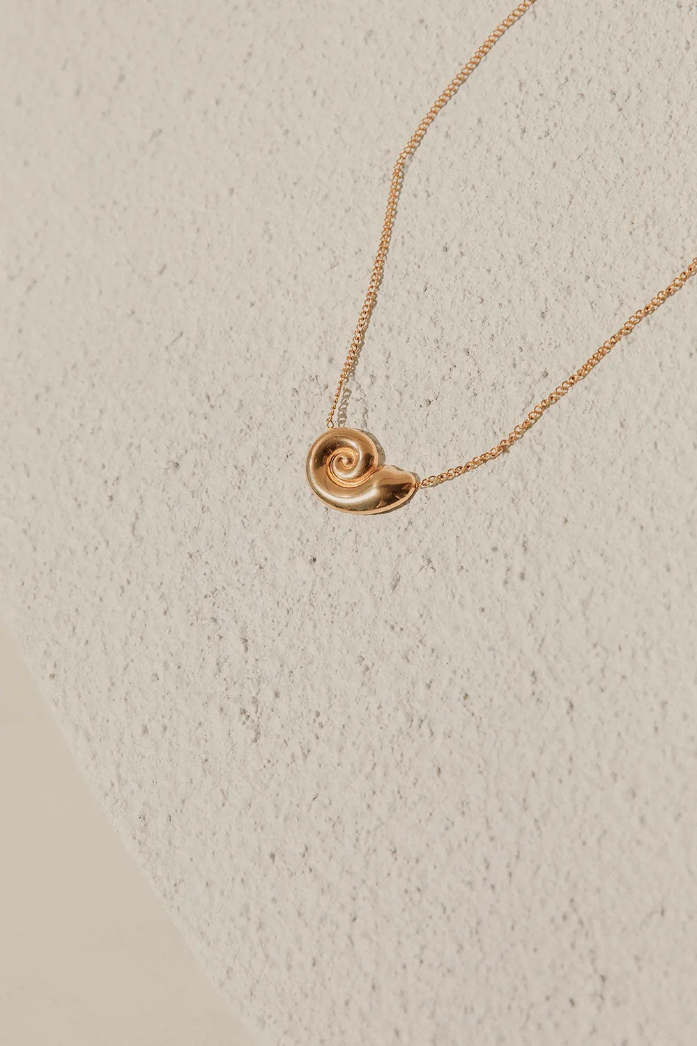 Twirl Shell Necklace